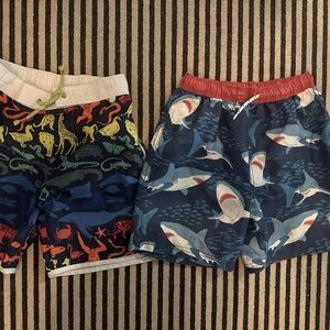 (2) Boys Mini Boden Swim Trunks (size 9-10)
